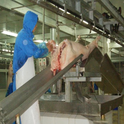 猪肉加工机 屠体水平分割锯 屠宰场屠宰设备