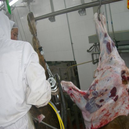 最畅销的屠夫工具 牛屠宰线用牛屠宰场机械剥皮刀