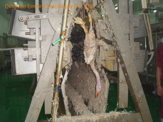 用于家禽屠宰场设备的立式胴体剜肉机家禽剜肉机