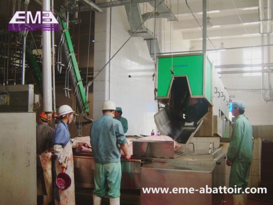 全套屠宰设备 生猪屠宰场加工 生猪屠宰惊蛰机