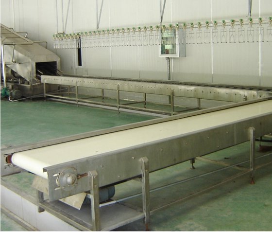 安価な機械のハラール屠殺設備 鶏とアヒルの屠殺場用