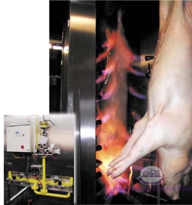 85%off 豚の屠殺機、皮膚と毛を取り除くための屠殺場設備