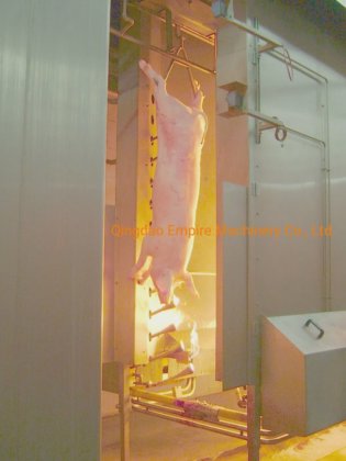 85%off 豚の屠殺機、皮膚と毛を取り除くための屠殺場設備