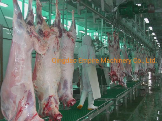 熱羊肉屠体自動誘導清掃装置 すべての仕様 屠殺ライン設備