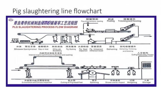 用于猪肉加工生产线的屠宰场设备：2000 头猪/天屠宰机胴体电烫池