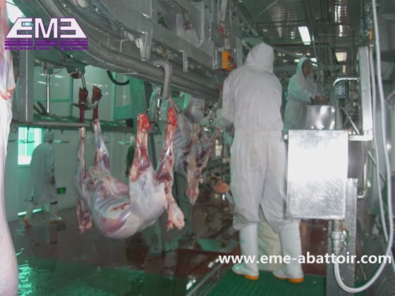 ヤギ屠殺ライン設備 集殺ローラー台 子羊 羊 食肉処理機械