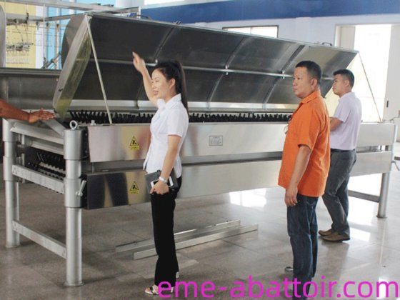 多様なモデルの鶏肉屠殺場用羽毛抜き機械