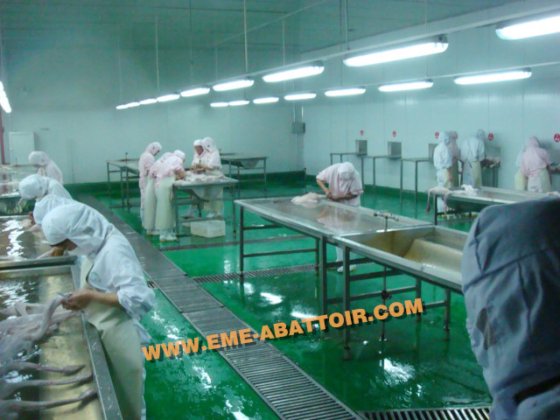 多様なモデルの鶏肉屠殺場用羽毛抜き機械