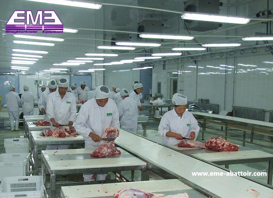 自動生産ライン単層ベルトコンベヤー機器食肉処理設備