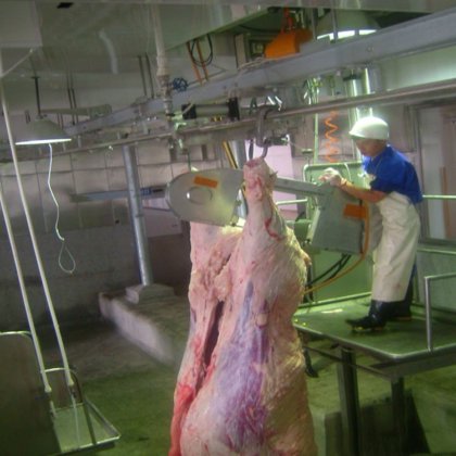 最高価格の牛肉処理用屠殺場機械