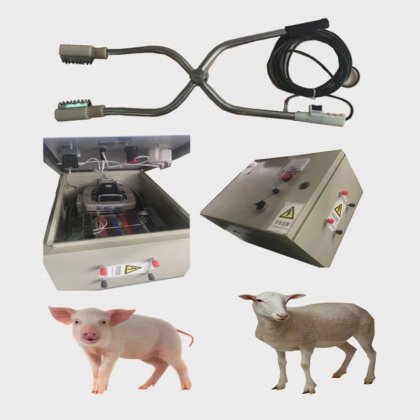 自动输送台式屠宰场设备 用于屠宰场肉类加工的生猪屠宰机