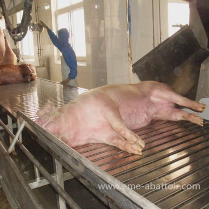 自动输送台式屠宰场设备 用于屠宰场肉类加工的生猪屠宰机