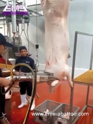 用于山羊屠宰场的最佳质量屠宰机蹄液压剪切屠宰设备