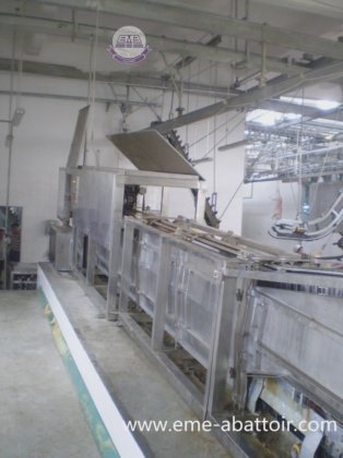 活猪入口通道 屠宰场工具 用于生猪屠宰机的屠宰场设备