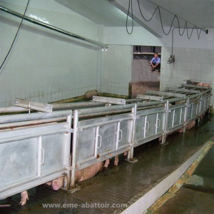 活猪入口通道 屠宰场工具 用于生猪屠宰机的屠宰场设备