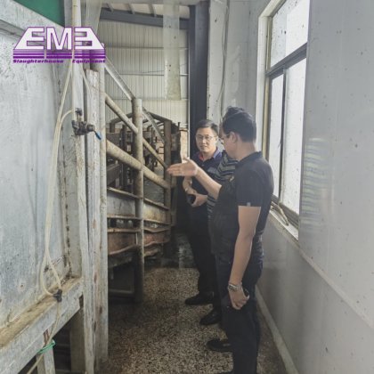 Eme 用于屠宰场肉类加工厂的专业牛肉加工机械屠宰场奶牛屠宰设备