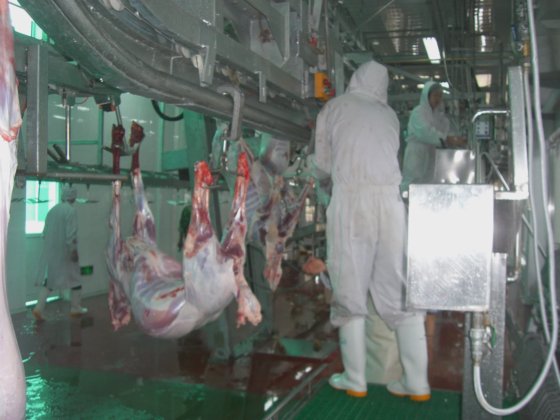 皮剥ぎ前プラットフォーム羊屠殺場設備肉処理用