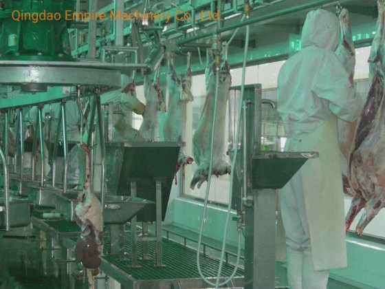 豚の屠殺隔離肉処理機械屠殺場設備