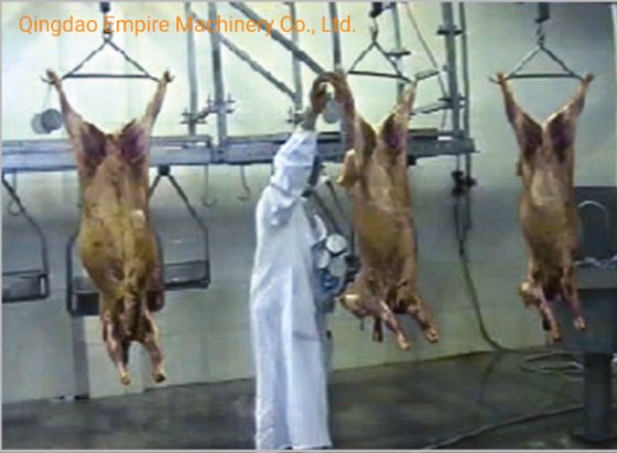 豚の屠殺隔離肉処理機械屠殺場設備