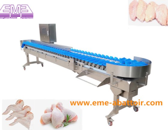 电子自动分级秤 杀鸡机 家禽屠宰场设备