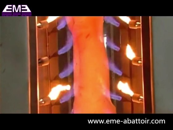 猪胴体烧结炉屠宰场肉类加工生产线 牲畜机械的生猪屠宰设备