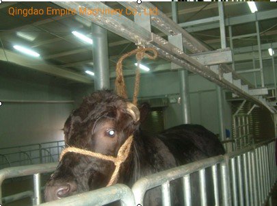 活牛牵引机 用于屠宰场设备的屠宰机