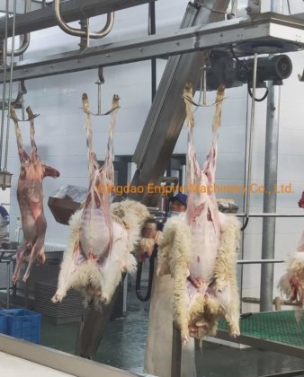 用于肉类加工厂的活羊清真屠宰箱绵羊屠宰机