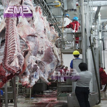 牛屠宰场屠宰设备中的牛胴体自动输送系统。