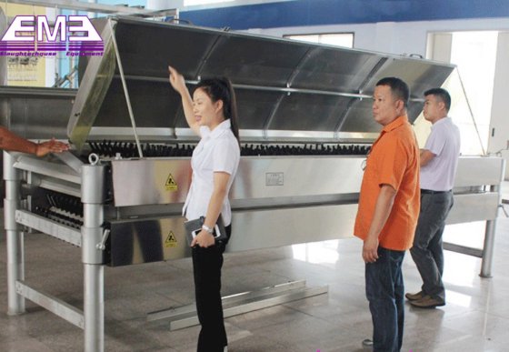 自動鶏羽毛抜き機 横型 鳥類屠殺設備 鶏、アヒル、ガチョウ用 アバトワール