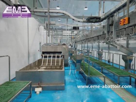 合理的な価格の羊の胴体スカールディングタンク 自動屠殺場設備 山羊屠殺場用