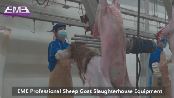 羊屠殺用の油圧式皮引き器