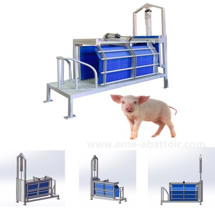 豚のスタンニングマシン、豚肉の屠殺場設備、屠殺場の肉処理