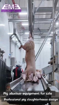 生猪屠宰场屠宰线 生猪屠宰设备