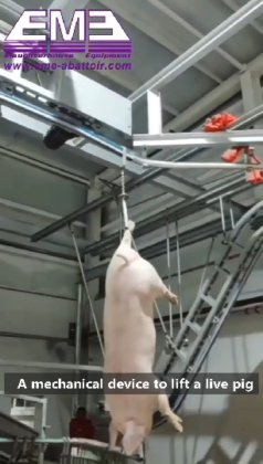 生猪屠宰场屠宰线 生猪屠宰设备