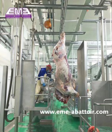 牛猪屠宰场设备 胴体带状分割锯 牛屠宰机 肉类加工用牛屠宰场