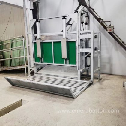 屠殺機 生きた牛 スタンニングボックス 食肉処理場用設備