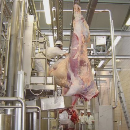 移動式家畜屠殺場コンテナサイズ牛屠殺機豚羊ヤギ牛屠殺設備