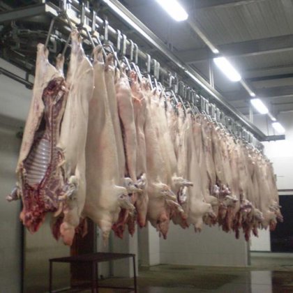 用于肉类加工的屠宰场设备 猪胴体加工 手动输送轨道 定制规模屠宰场