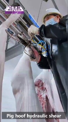 养猪场屠宰设备 用于生猪屠宰的电动生猪脱毛机价格 猪皮脱毛机 猪脱毛机