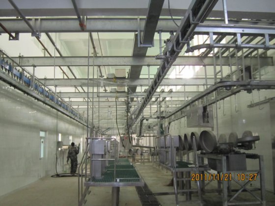 养猪场屠宰设备 用于生猪屠宰的电动生猪脱毛机价格 猪皮脱毛机 猪脱毛机