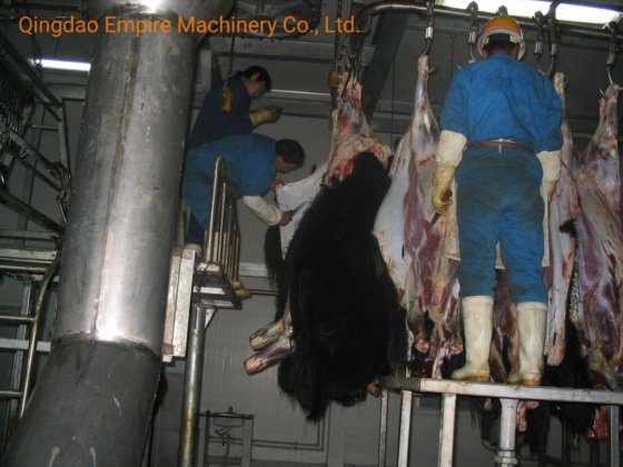 蹄滑りチュート牛屠殺設備用食肉処理場
