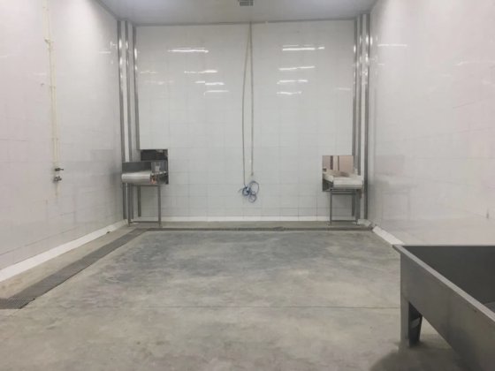 自动化设计 格栅式带式输送机 屠宰场通用机械 屠宰场设备