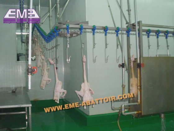 鸡鸭鹅胴体清洗装置 用于清洗家禽胴体的屠宰设备