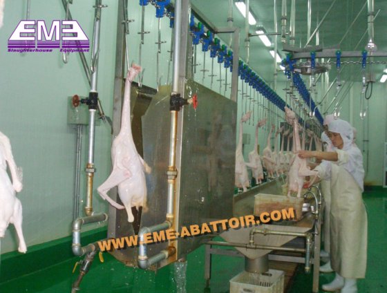 鶏とアヒルの胴体洗浄装置、家禽の胴体を洗浄するための slaughter equipment
