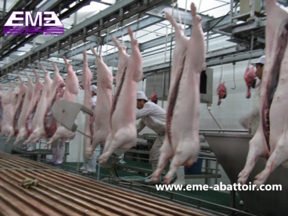 肉処理 食肉処理場 設計 豚の死体処理 手動搬送レール