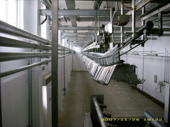 生猪屠宰场肉类加工生产线屠宰场机器用于猪胴体的滑轮钩