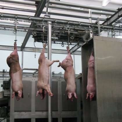 生猪屠宰场肉类加工生产线屠宰场机器用于猪胴体的滑轮钩