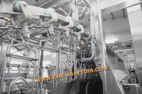 家禽 鴨 鶏 食肉処理場 殺戮機器