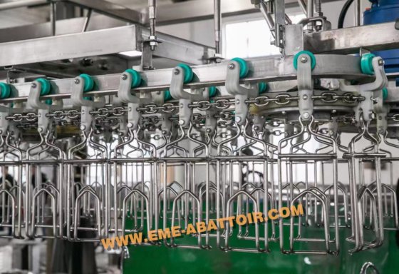 家禽 鴨 鶏 食肉処理場 殺戮機器