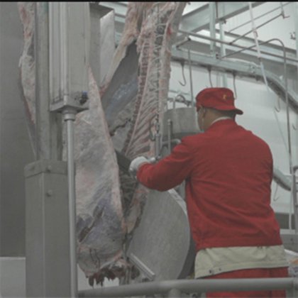 奶牛屠宰场设备 肉类加工 牛肉屠宰场设备 分牛锯